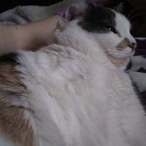 Meet your Posher, Alexandria